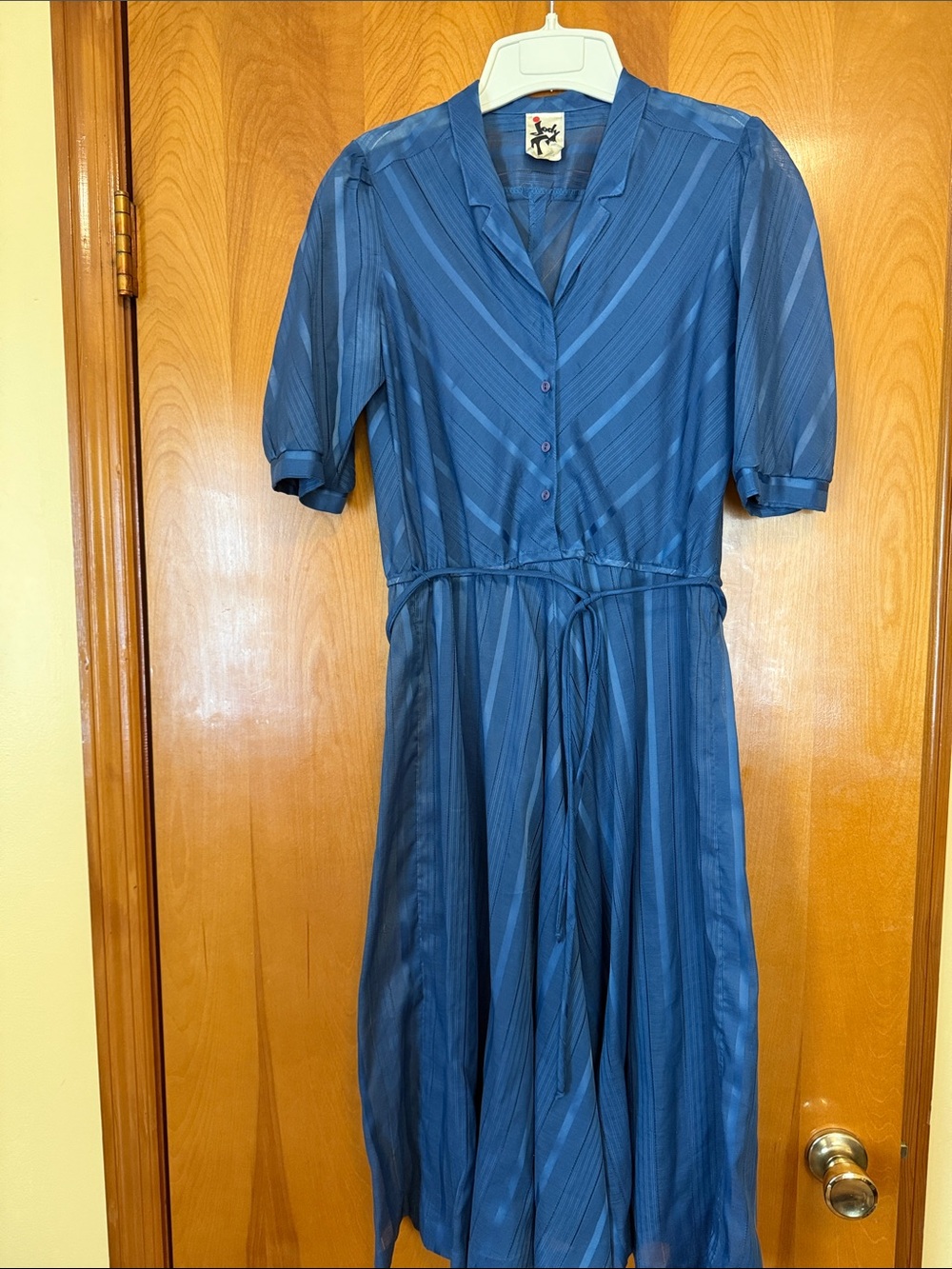 Jody T of California dress